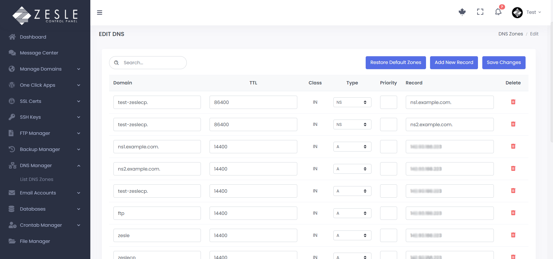 DNS Settings via ZesleCP